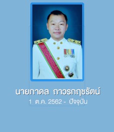 นายภาดล ถาวรกฤชรัตน์